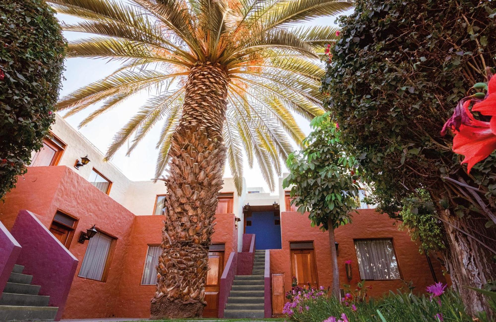 La Maison D'Elise أريكيبا المظهر الخارجي الصورة