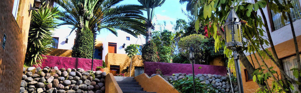 La Maison D'Elise أريكيبا المظهر الخارجي الصورة